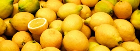 Festa do Limo